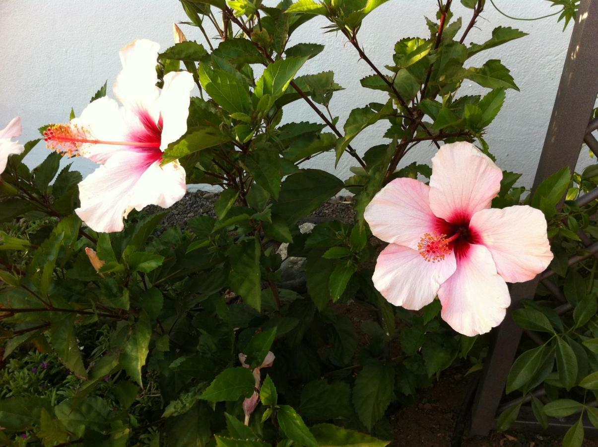 Bungalow La Datura El Paso Eksteriør billede